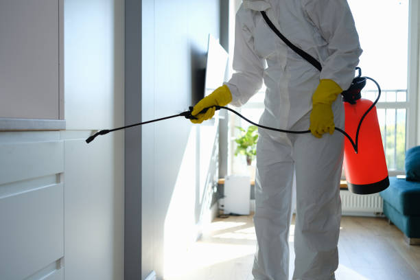 Certified Mold Removal in Fairmount, TN