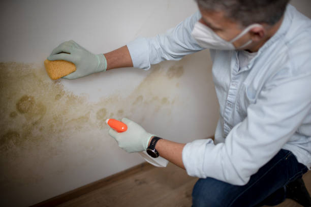 Best Mold Testing  in Fairmount, TN
